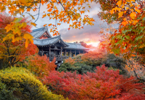 Adobestock 1700159875