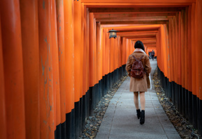 Adobestock 368346489