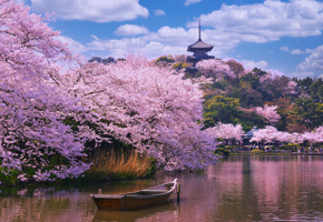 Adobestock 339657082