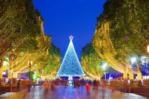 Illuminated Japanese street with a Christmas tree
