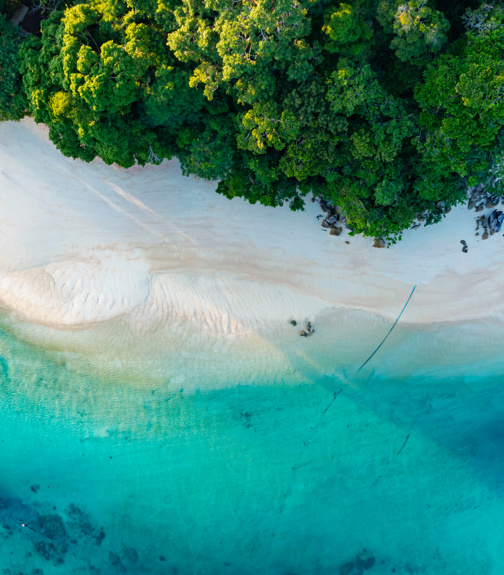 Top view of white sand beach tropical with seashore as the island in a coral reef ,blue and turquoise sea Amazing nature landscape with blue lagoon