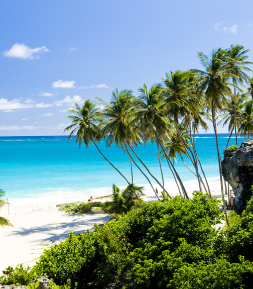 Bottom Bay, Barbados, Caribbean